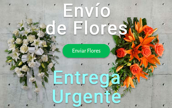 Envio de flores urgente a Tanatorio Sant Boi